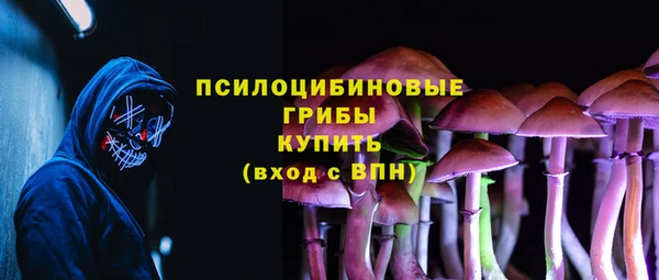 соль ск Алексеевка