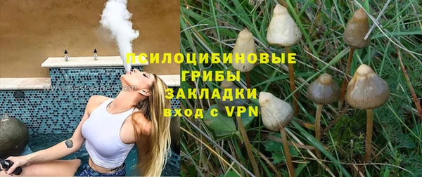 соль ск Алексеевка