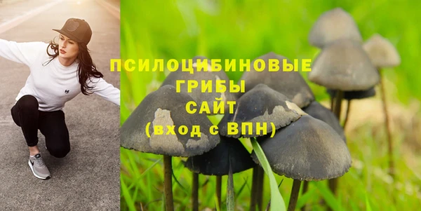 винт Алзамай