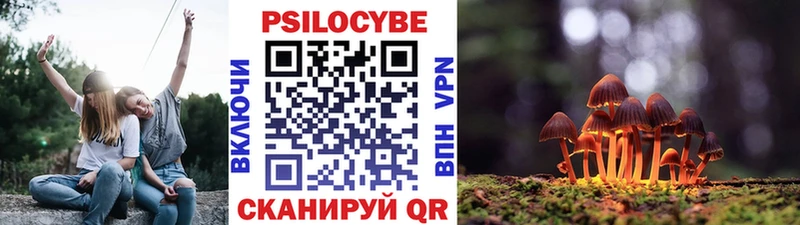 Галлюциногенные грибы Cubensis  где купить   Белорецк 